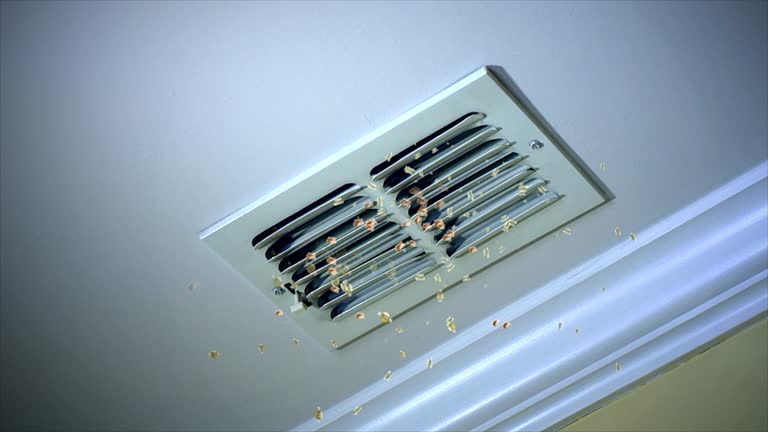 Best Affordable HVAC Duct Cleaning  in Eastport, ME