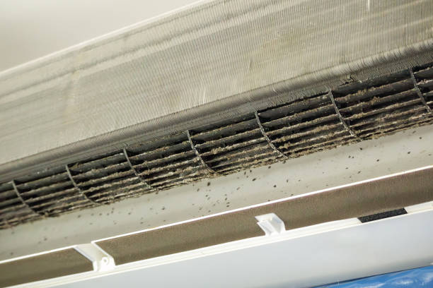 Best Affordable Air Duct Cleaning  in Eastport, ME